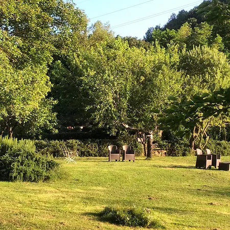 Holiday home Il Capriolo The Real Chianti Greve in Chianti