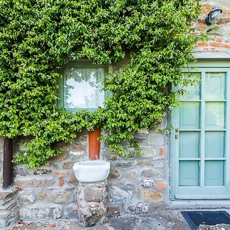 Il Capriolo The Real Chianti Holiday home Greve in Chianti